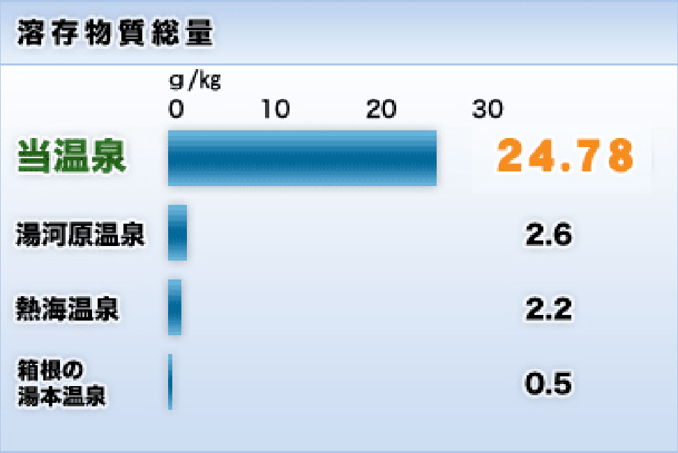 駿河天然温泉